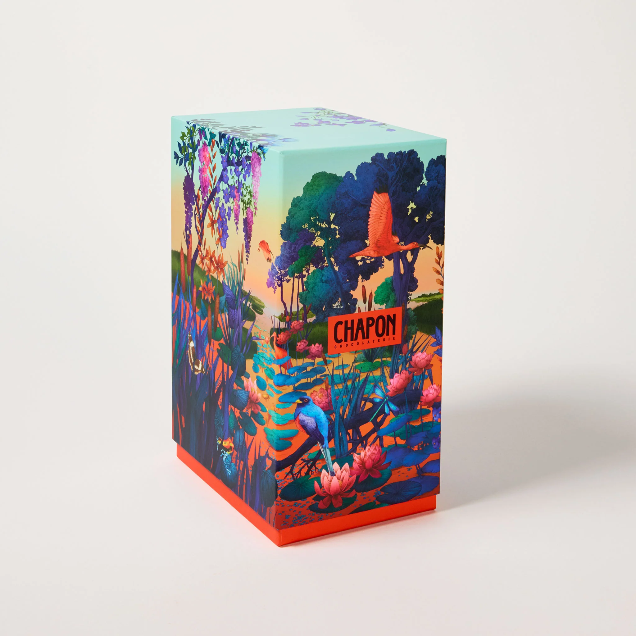 Coffret 10 tablettes - Image 3
