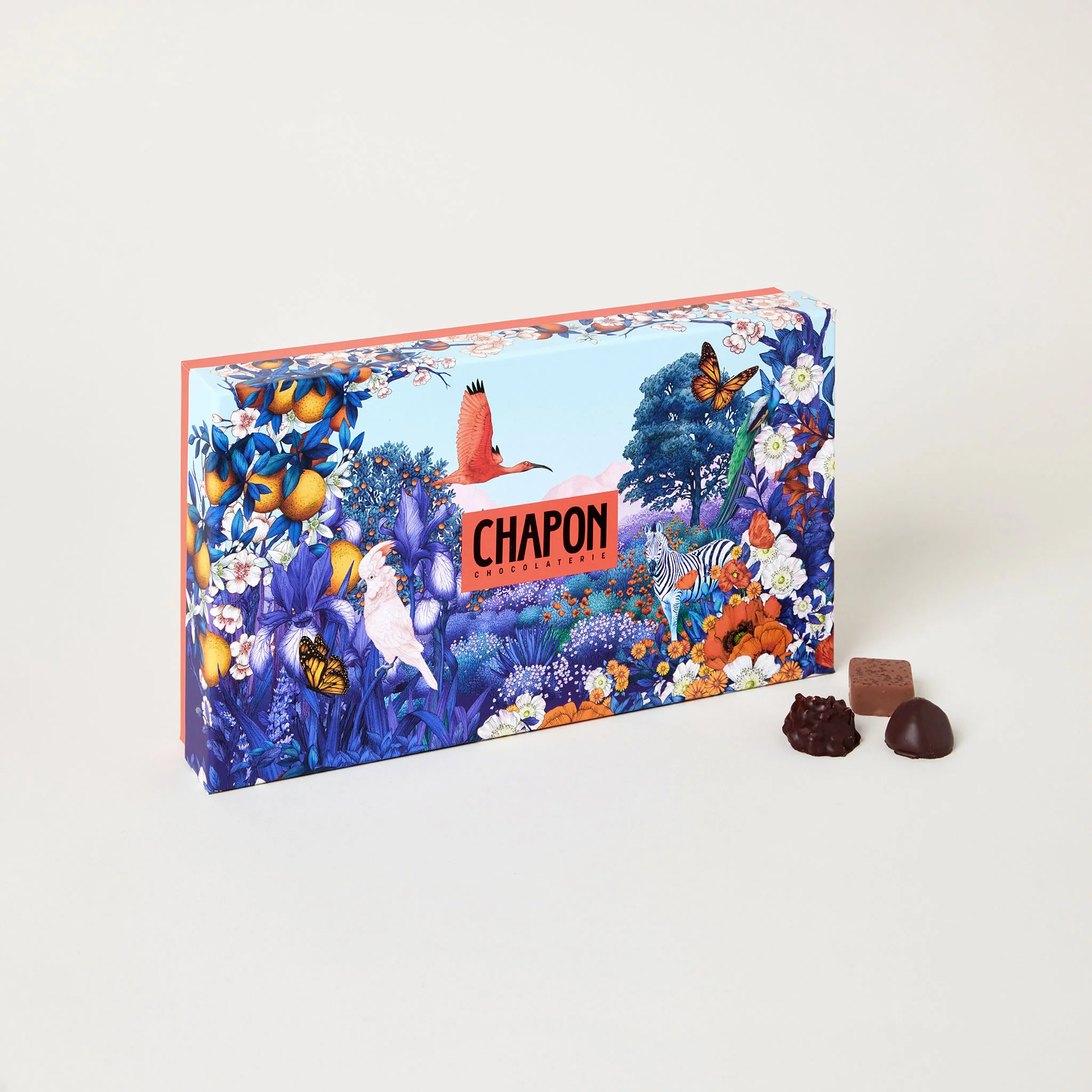 Coffret 80 chocolats - Jardin Merveilleux - Image 2