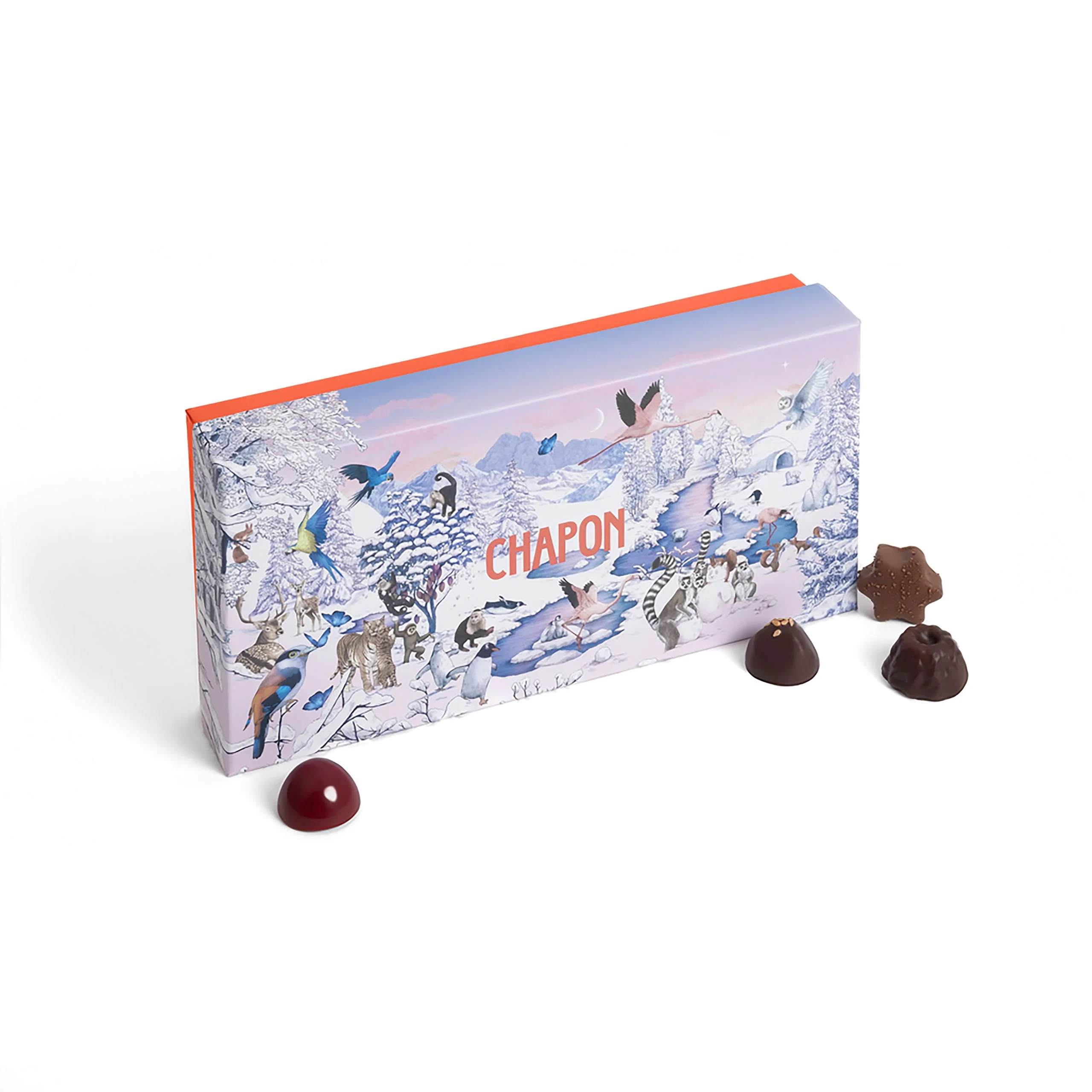 Coffret Noël - 56 chocolats - Trésors de la Chaponie